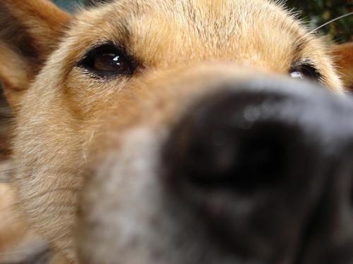 今年度は環境を変えることを目標に。動物、自然が大好きな方々、よろしくお願いします！