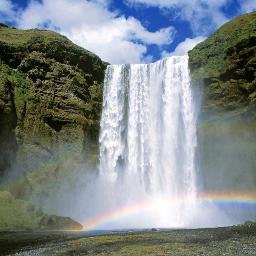 TidexMedia's profile picture. Tidex Media

We do shoutouts 
We tweet for anyone
We also do..... Everything!