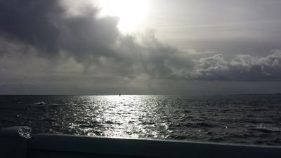 david_mckinney's profile picture. BC Teacher. Father of two, devoted husband. Cyclist, hockey player, AMC Watcher. My tweets are guarded by intellectual property legislation.