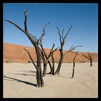 NNoure2000's profile picture. 