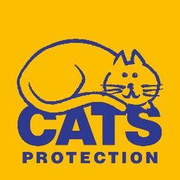 We are the Stonehaven branch of Cats Protection, the UK's leading feline welfare charity and have now merged to become Deeside and Kincardine Branch