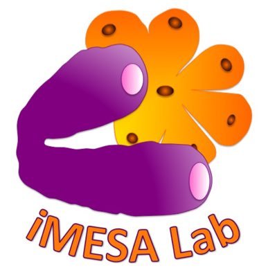 iMESALab Profile Picture