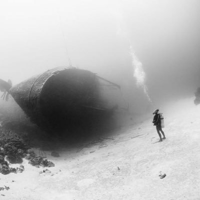 sosiehsoehdis's profile picture. 