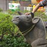 losnuevetoros's profile picture. Vision & LanguageやAI for Science等の研究者。
栄光学園→東大、NTT CS研 研究員→東大 情報理工 講師→現在 NexaScience CEO/OMRON SINIC X RVPなど。

つぶやきは研究/ゲーム/アニメ/百合/百合/食事/政治と猫がランダムに混じります。