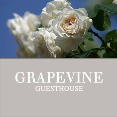 Grapevine Bed & Breakfast offers exclusive accommodation in “The pearl of the Cape Winelands”. Enjoy our fine hospitality, Bed & Breakfast accommodation.