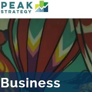 NZ Strategy experts. Strategic development, Business Plans, Balanced Scorecards, Financial Modelling.