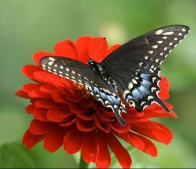 vZArGEWc76wVAxd's profile picture. 