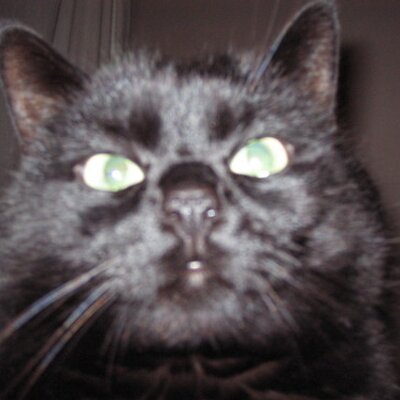 IJstijd's profile image