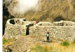 TotallyLatiname's profile picture. 