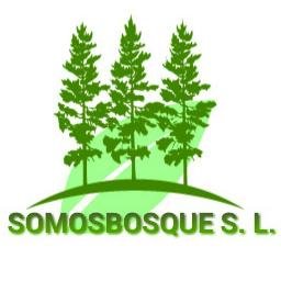 Empresa dedicada a trabajos de ingeniería y consultoría forestal, agrícola y ambiental  en todo el territorio nacional. Contacto 616279712