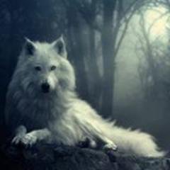 MarkArcangelo's profile picture. INSCREVA-SE NO MEU CANAL DO YOUTUBE https://t.co/RW1PqpiRcB