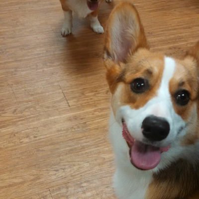 RobinCSparkles's profile picture. 