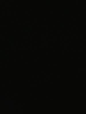 xsxexlxixnxax's profile picture. 