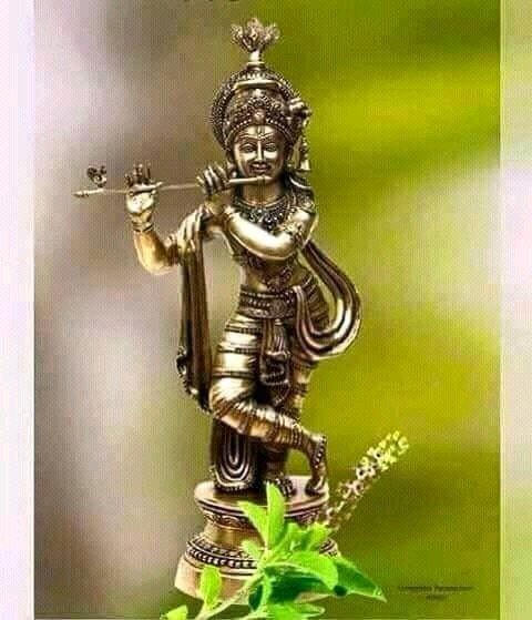 praneshak's profile picture. essential essencful elements eloberatly expressed expecting expeditions.....