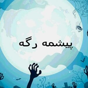 khaib_barzani's profile picture.