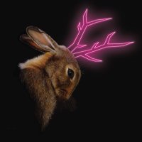 D.V.L.B. (@dvlb_espresso) 's Twitter Profile