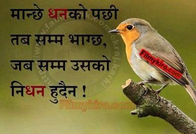 sagar23496042's profile picture. 