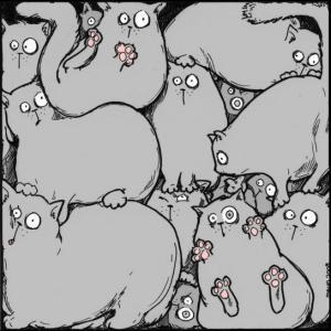 3ABTPA's profile picture. 