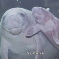 佐藤栄太郎 eitaro sato (@0v0eitaro0v0) 's Twitter Profile Photo 佐藤栄太郎 eitaro sato (@0v0eitaro0v0) 's Twitter Profile Photo