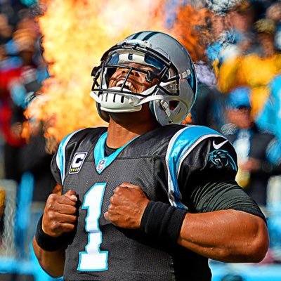 WORK HARD IN SILENCE, LET YOUR SUCCESS BE YOUR NOISE Cam Newton Parody Account
