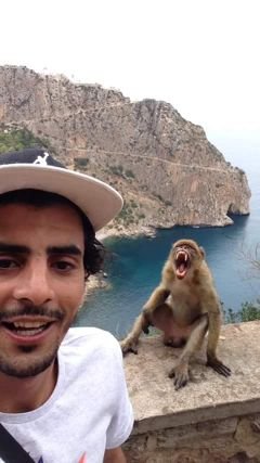 RahoIlies's profile picture. psn id ps4 : ilito31