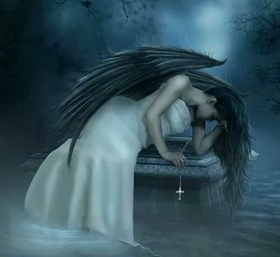 blutengel183's profile picture. 