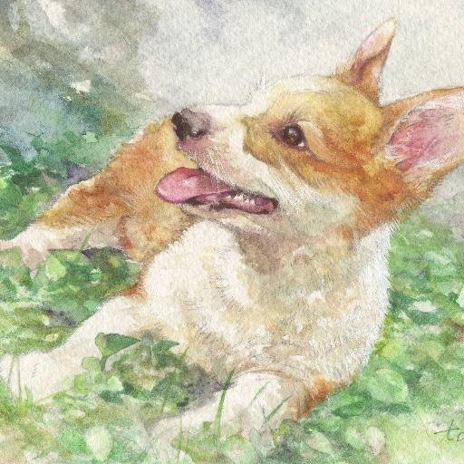 🐕犬と🦜鳥と🦒キリンが好き 🐾ミニチュアダックス チョコ・コーギー モカ/オカメインコ スズ・コザクラインコ ナツ 🎨鉛筆、色鉛筆、透明水彩で絵を描きます。