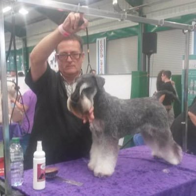 professional Dog Groomer/ Master Baker/ Lecturer Dog Grooming