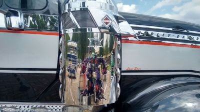 matheusjesus911's profile picture. 