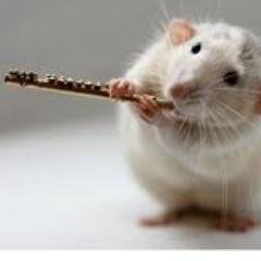 moodilka's profile picture. Losing $$$ since 1999.