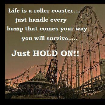 Roller Coaster Life Coasteroflife15 Twitter
