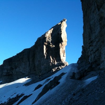 pgdr_twitt's profile picture. 