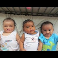 Daniel Pyo (@danpyo65) 's Twitter Profile