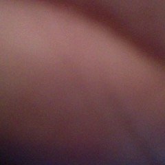 LeafPLumz1's profile picture. 