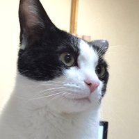 南青山(沈黙はファシズムの承認、選挙に行こうぜ、消費税は廃止!) (@minami_aoyama) 's Twitter Profile Photo 南青山(沈黙はファシズムの承認、選挙に行こうぜ、消費税は廃止!) (@minami_aoyama) 's Twitter Profile Photo