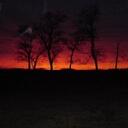 Renee Dodson - @indycornstalk - Twitter