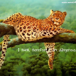 Bhushan84848's profile picture. 