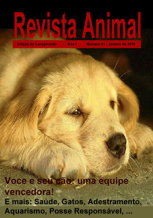 Uma revista eletrônica com visual moderno e arrojado, para leitura gratuita e on-line! Faça-nos uma visita em http://t.co/SA1F7nP3qV