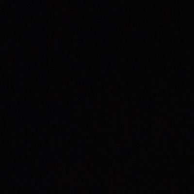 ninninmarutama's profile picture. 