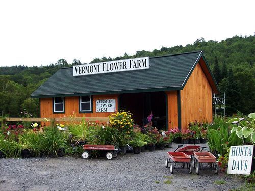 Grow flowers/herbs at nursery, blog The Vermont Gardener,  FB Vermont Flower Farm & Gardens, study Aspergers & autism, practice macro flower photography, write.