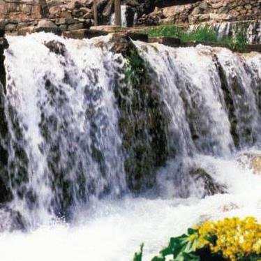 BabaDeste's profile picture. 