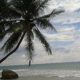 ishara57922086's profile picture. 