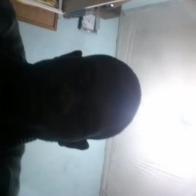 HassanBchir1's profile picture. 