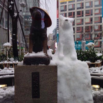 kyabusu's profile picture. 中2女子です。楽しく実況、楽しく毒舌。本当のこと言って何か問題でもあるの？