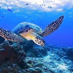 unitedemployees's profile picture. 