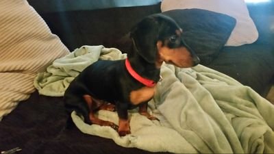 JaymeMaybe's profile picture. They/them.