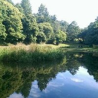 PontypoolParkFriends (@ppparkfriends) 's Twitter Profile