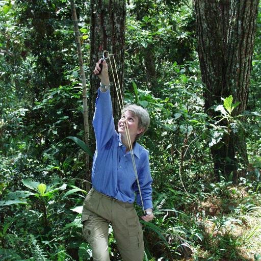 Multicultural ecologist, equal rights for all genders, all classes and nations fighter. Lover of peace, nature, timeless art, movies and music.