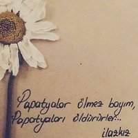 rabiaogretmen (@rabiaogretmen) 's Twitter Profile Photo