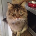 Lexie Shaw - @shawlexie1 - Twitter